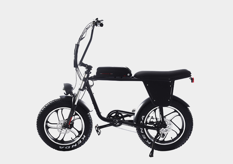 two seat seater fat tire electric bicycle