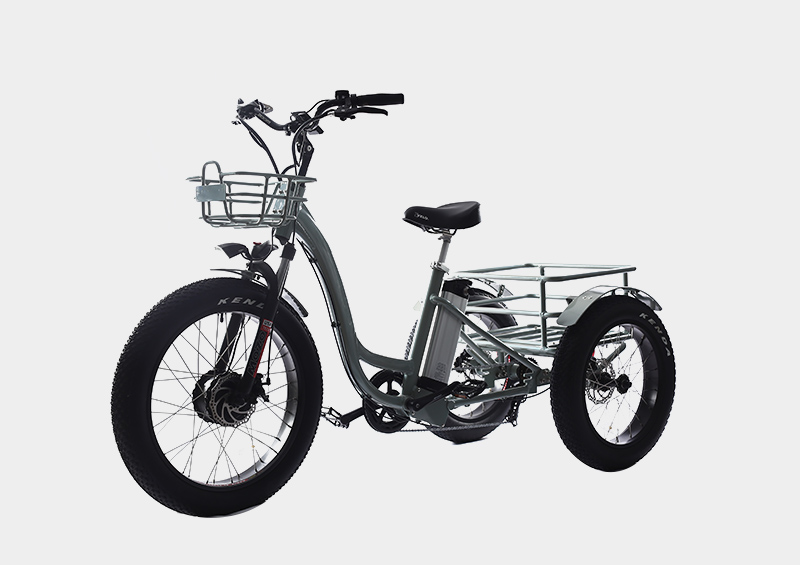 Hot selling front drive motor front and rear strong basket electric cargo tricycle trike